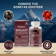 Cargar imagen en el visor de la galería, Shilajit Himalaya Vital