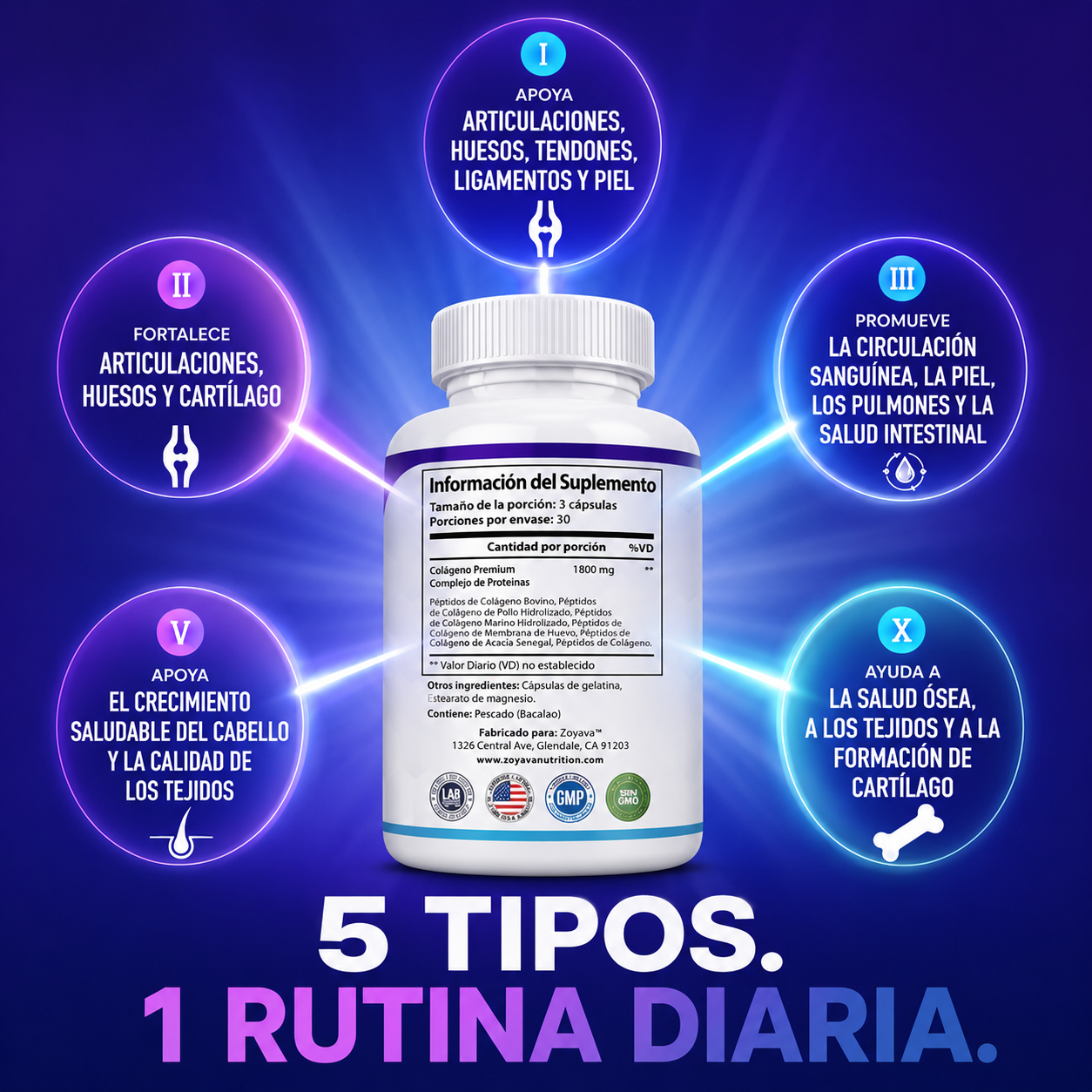 Multi Collagen 5 — Péptidos de Colágeno Tipos I, II, III, V y X