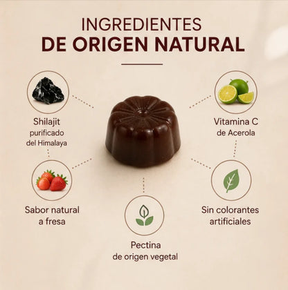 La energía que tu cuerpo pide: Shilajit Gomitas